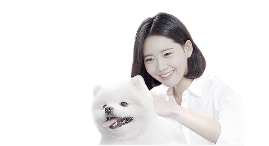 펫플 펫시터 지원