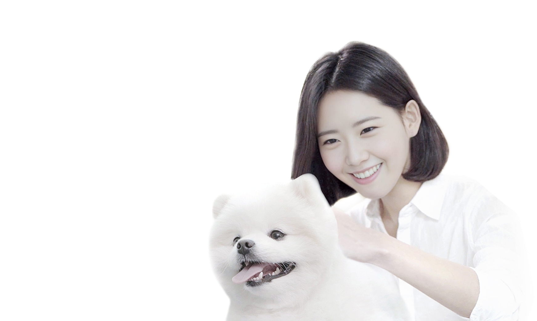 펫시터로 지원해보세요