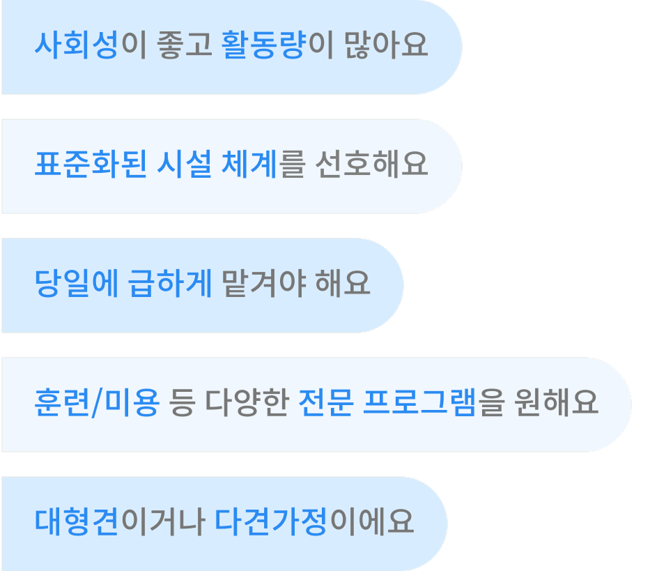 애견호텔 유치원 추천 조건