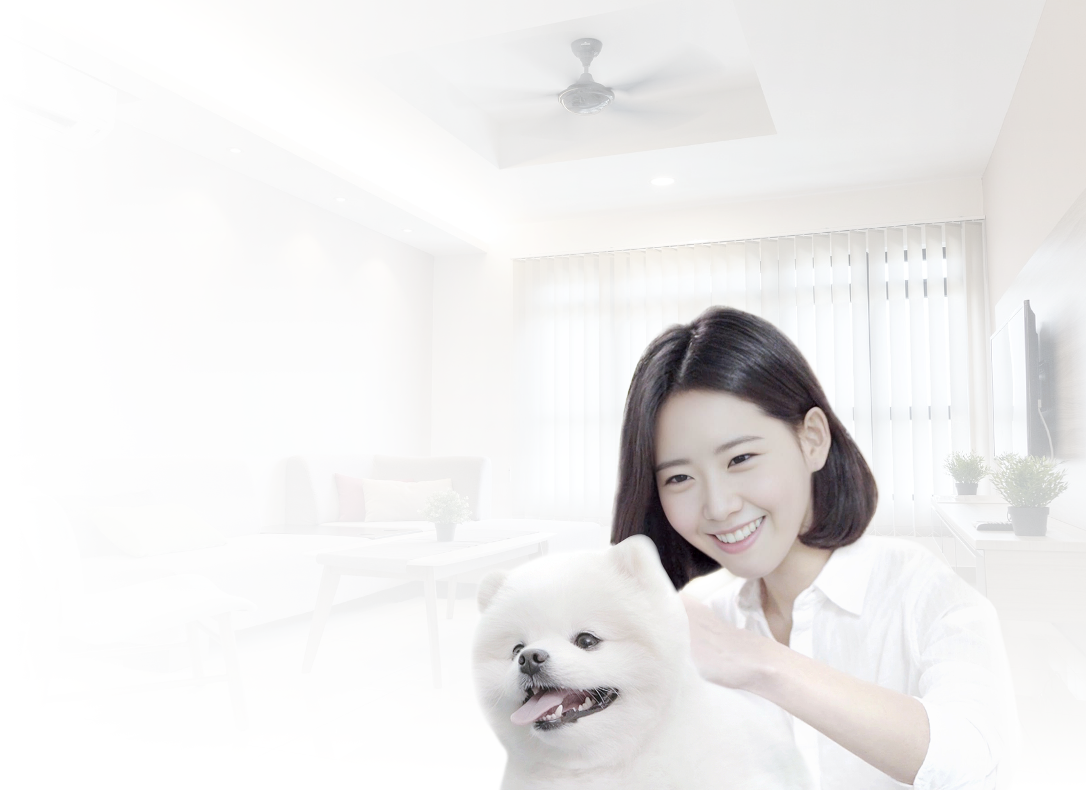 펫플래닛 가정집 펫시터