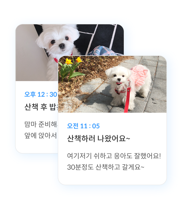 펫플래닛 라이브 돌봄 일지